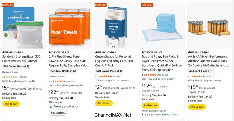 What Is Amazon Basics